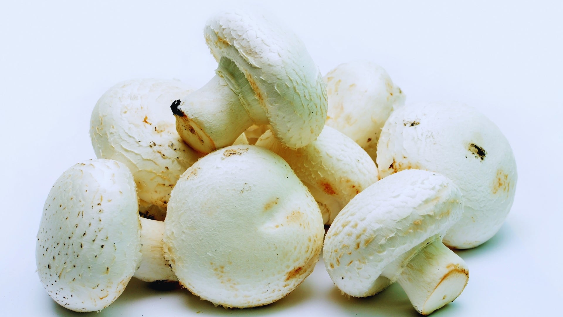 Bio Agaricus - Cuidado natural para momentos especiales