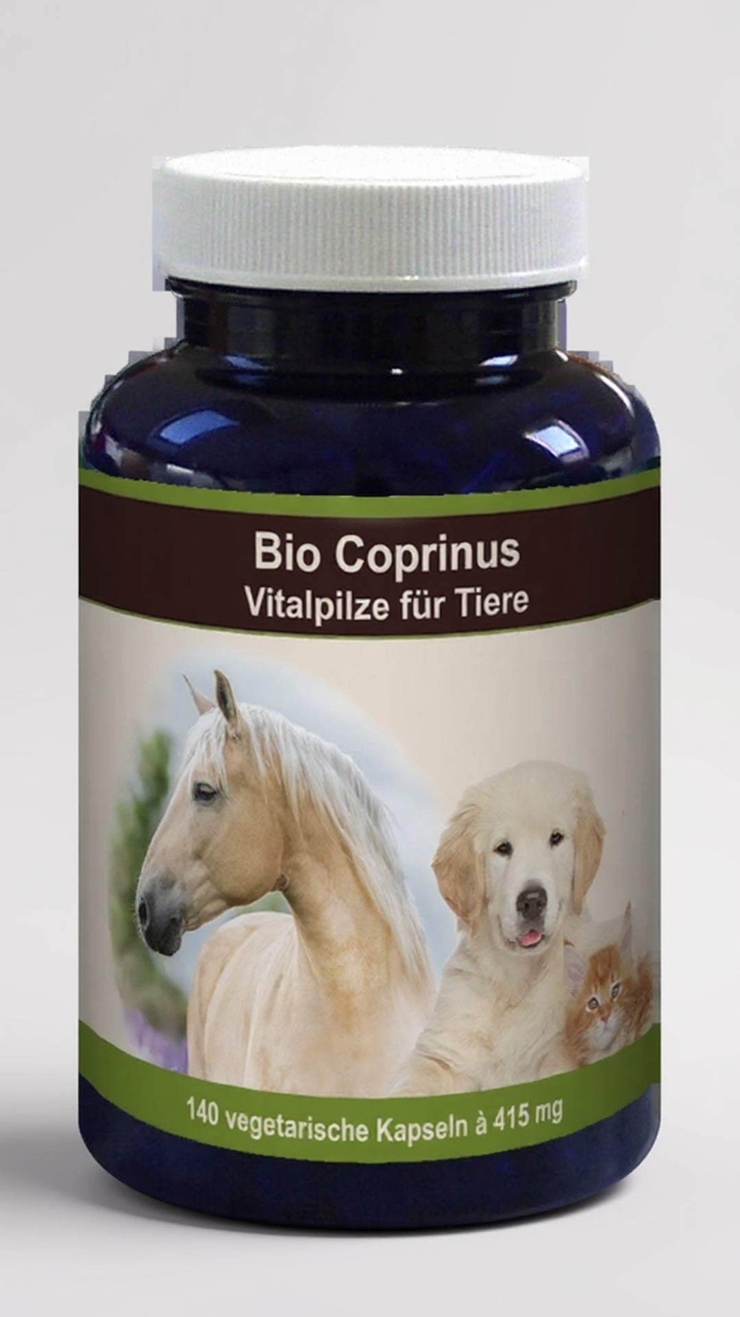Hongos medicinales para animales