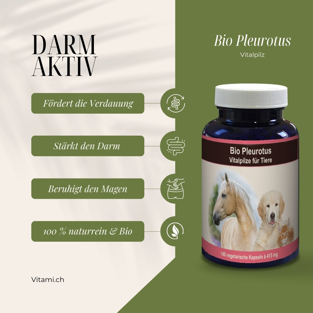Bio Pleurotus – Pura vitalidad para tu mascota