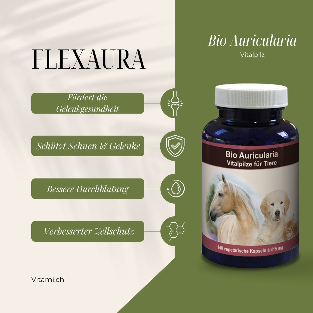 Flexaura