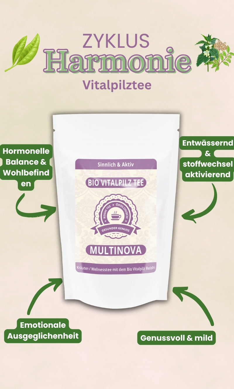Té de hierbas y bienestar Reishi orgánico: relájese y recupere energías con el poder natural