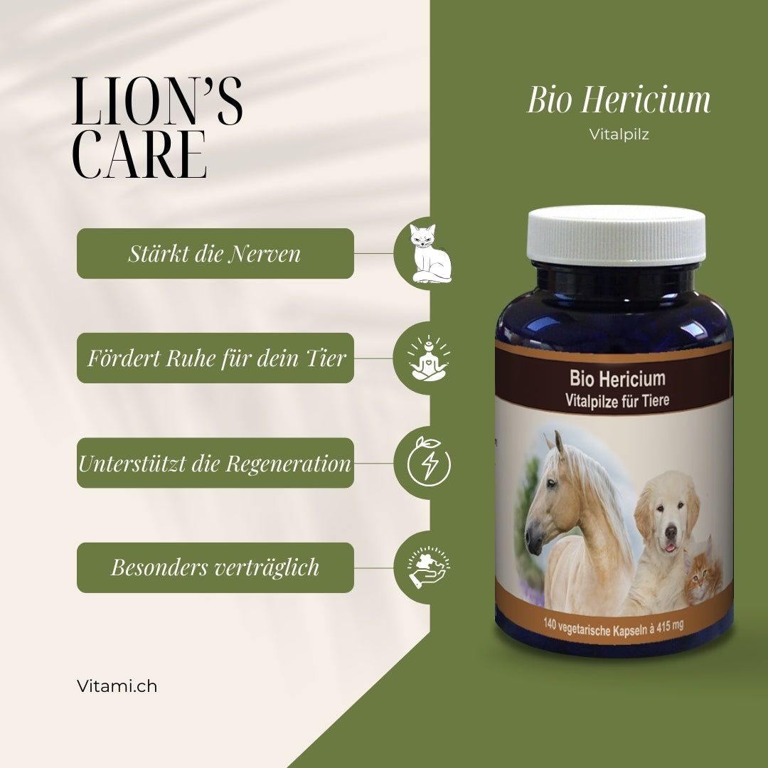 Lion’s Care