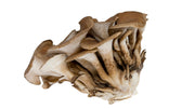 Maitake orgánico: fresco y saludable para un momento feliz y favorito