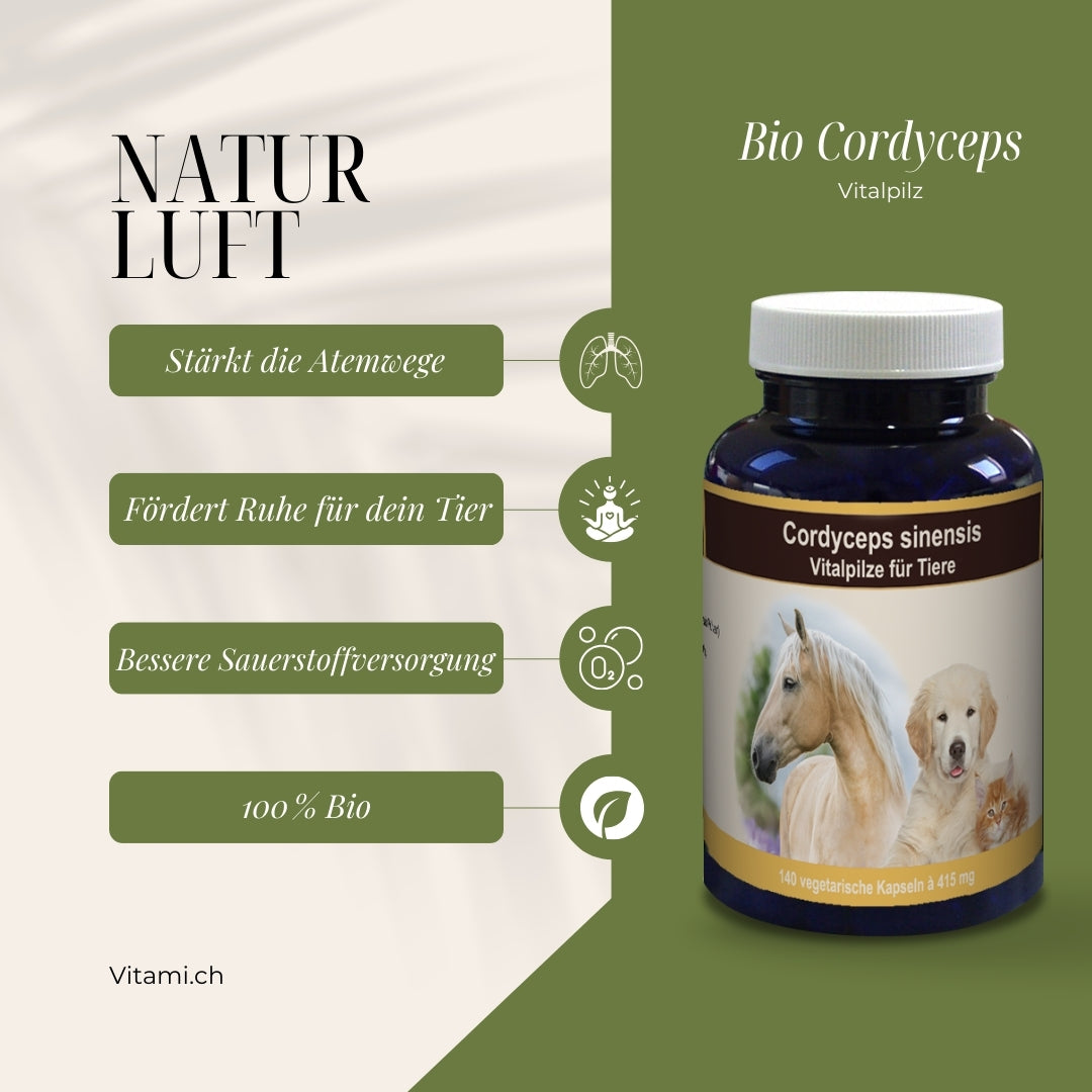 Natur Luft