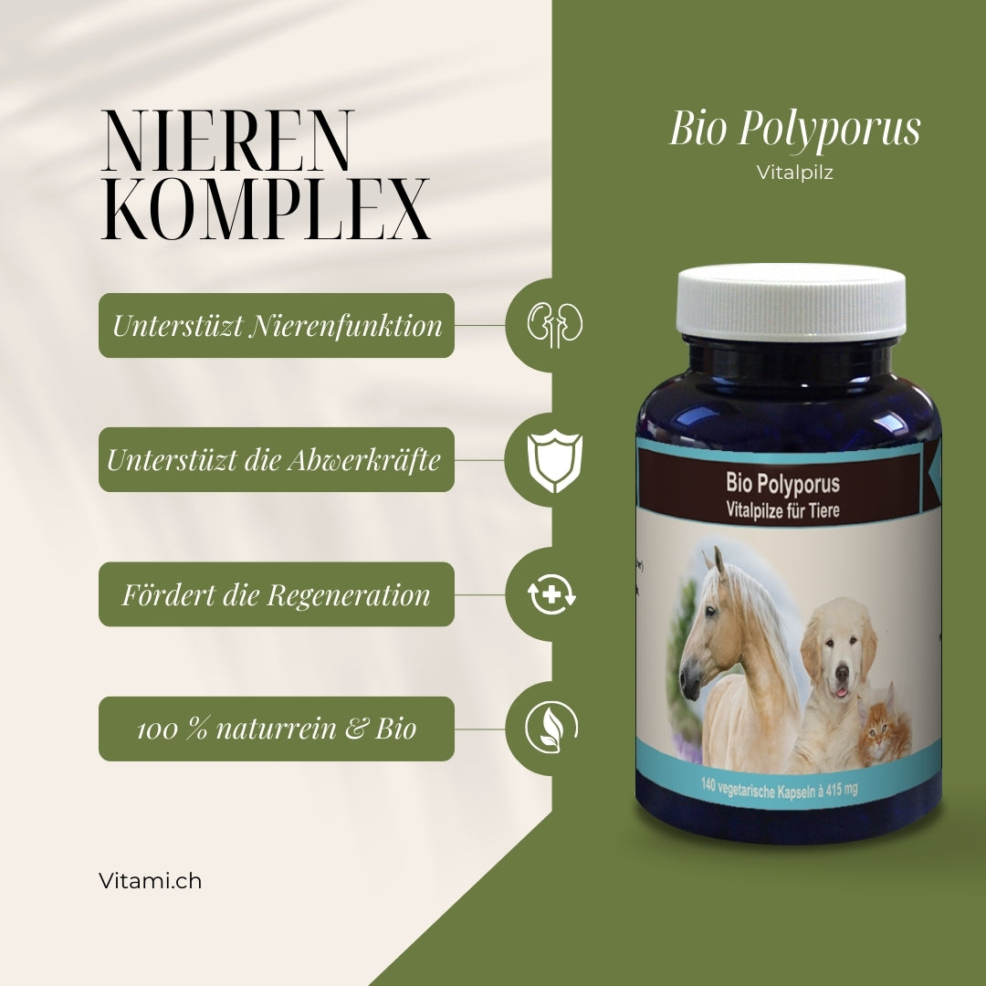 Bio Polyporus: Poder natural para animales sanos y felices