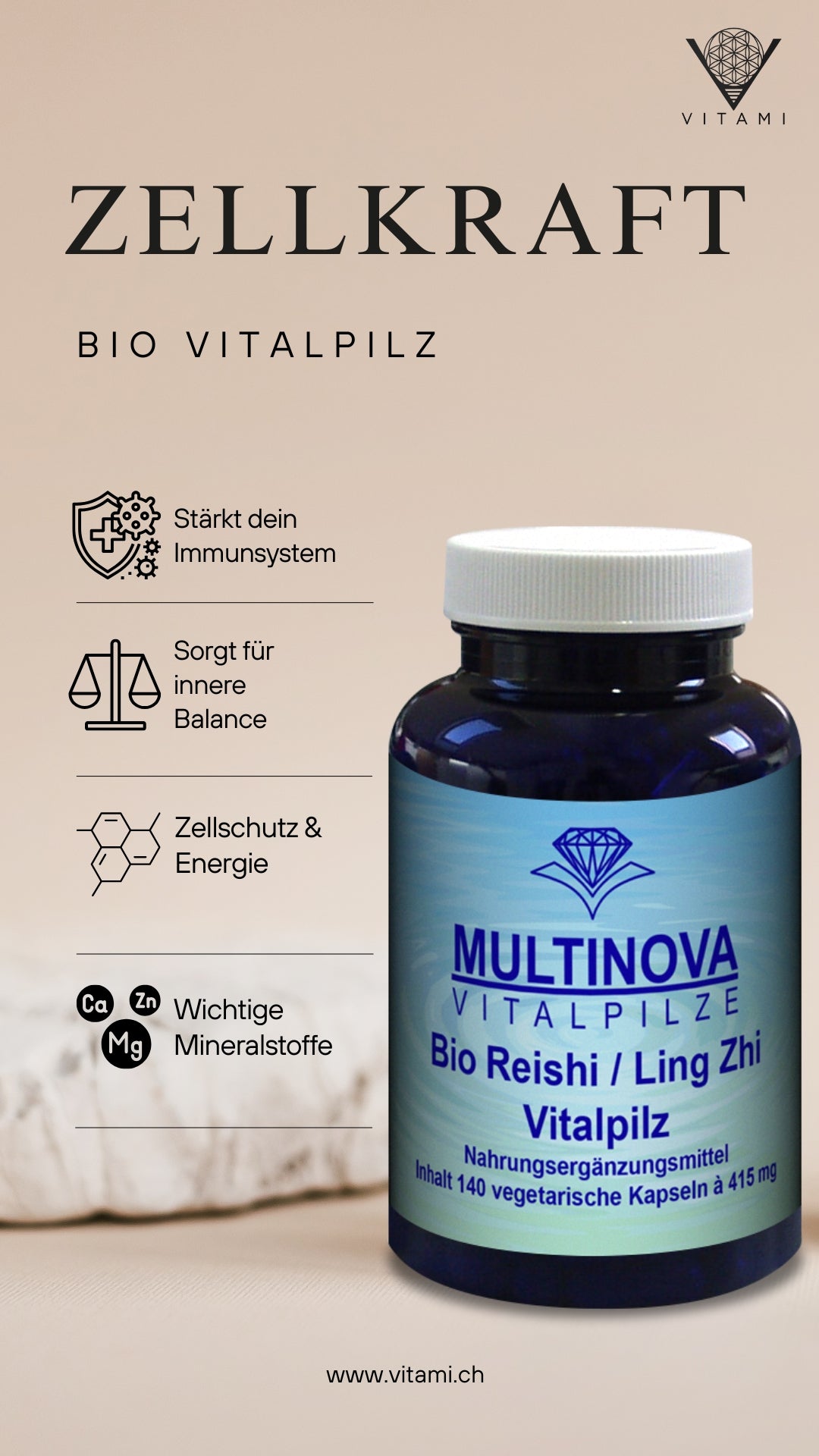 Reishi orgánico / Ling Zhi: tu hongo medicinal para el equilibrio y la energía