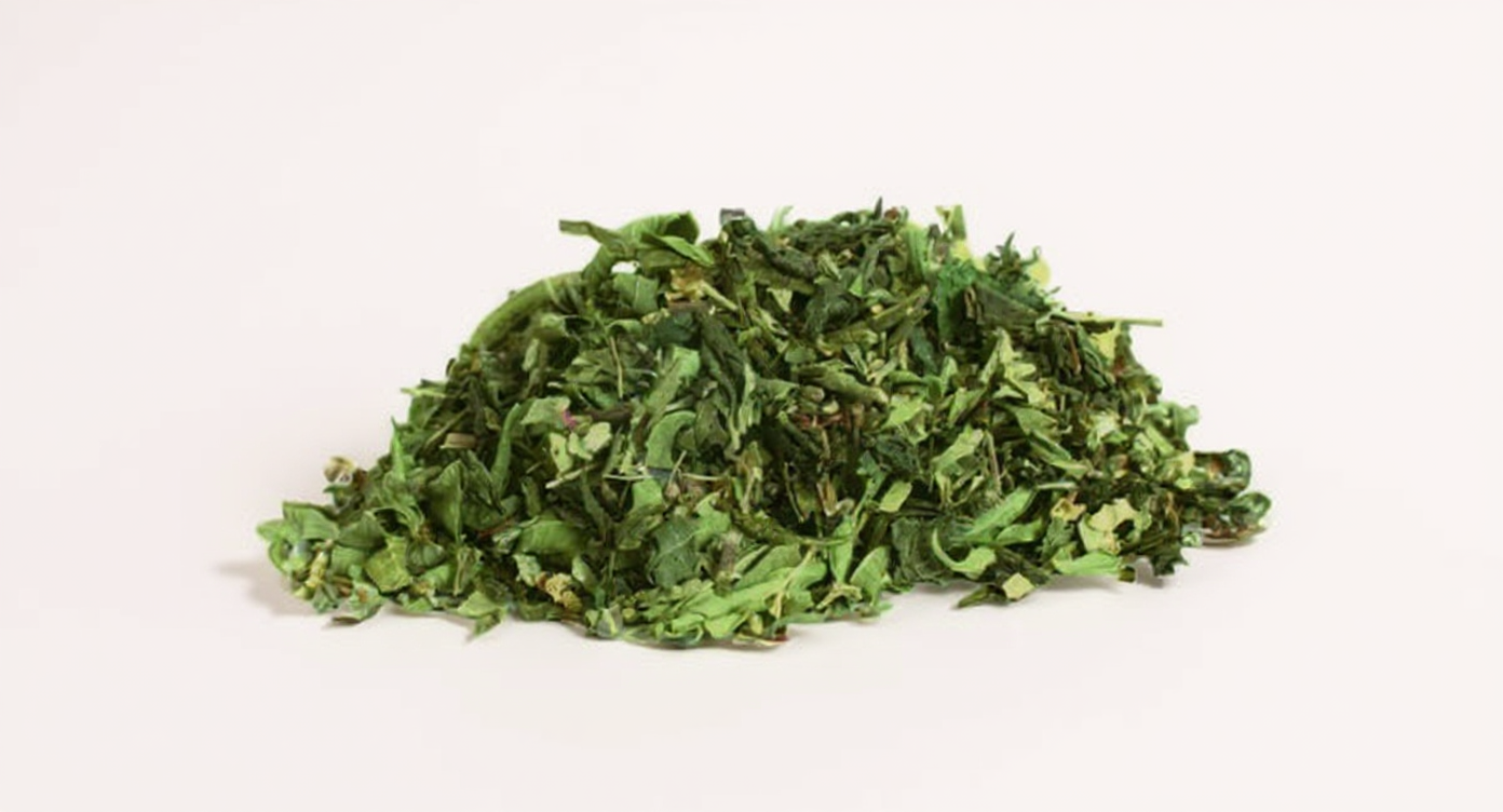 Té de hierbas y bienestar Reishi orgánico: relájese y recupere energías con el poder natural